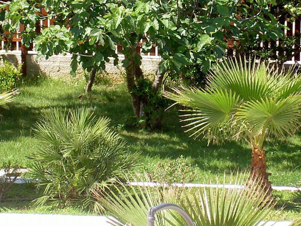 فندق Baia Del Sole بييسْتوم المظهر الخارجي الصورة